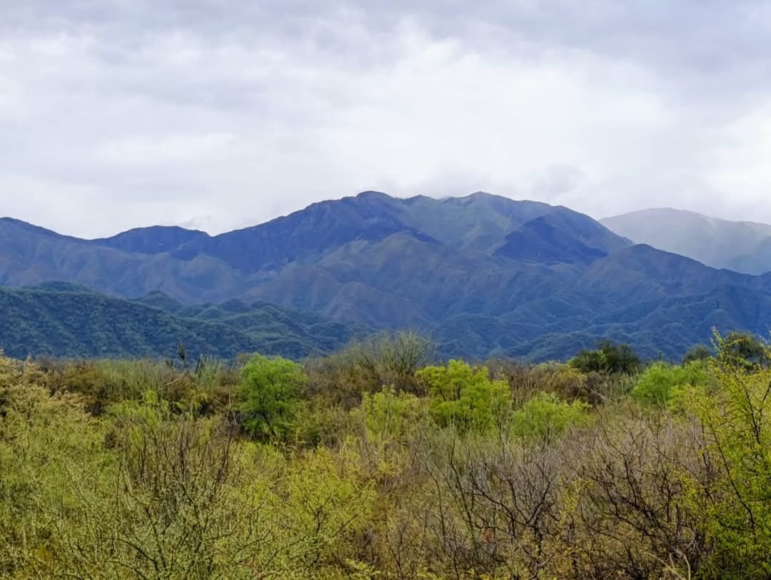 El incendio en Capayán fué contenido 