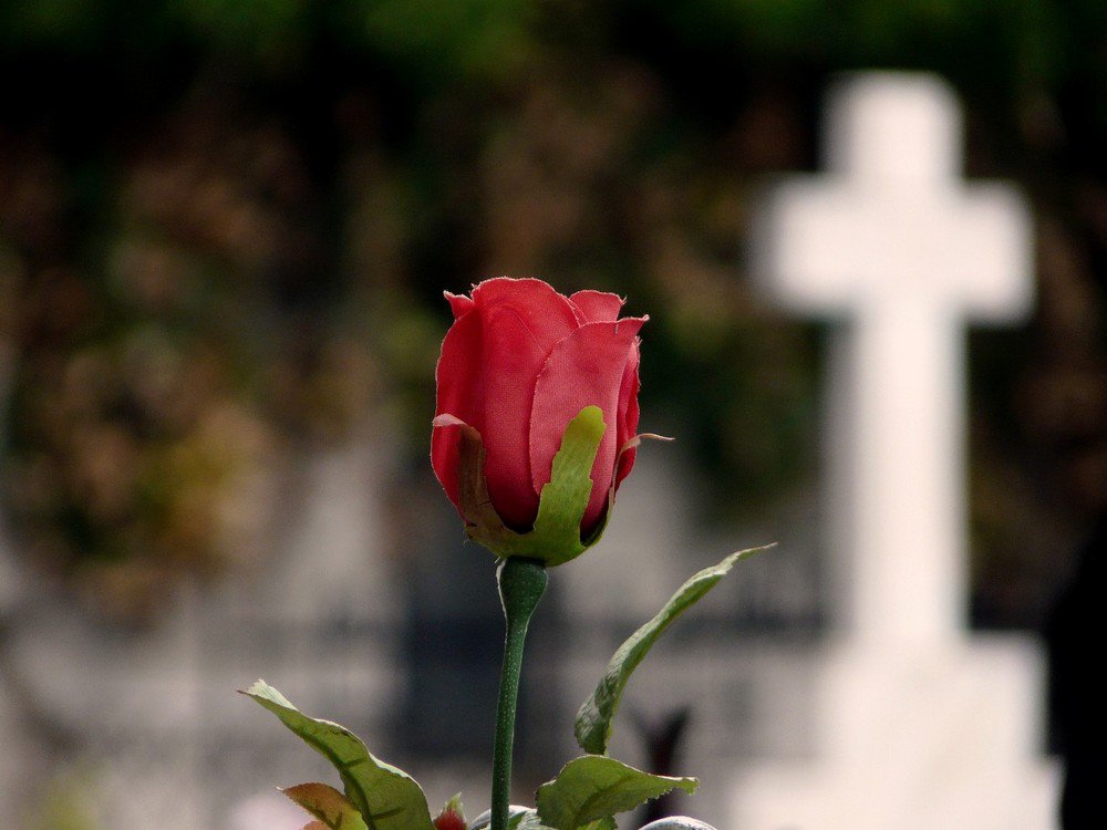 El Obispo presidirá Misa en el cementerio municipal