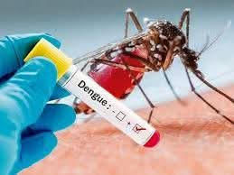 CONFIRMAN EL PRIMER CASO POSITIVO DE DENGUE EN VALLE VIEJO 