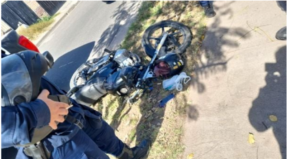 Arrebatador chocó contra un árbol mientras huía 