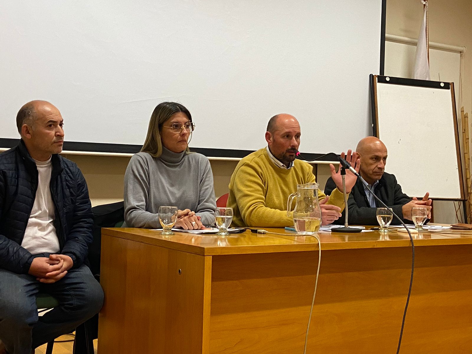 La UCR avanza en el debate por el RIGI con la palabra de actores de la sociedad civil