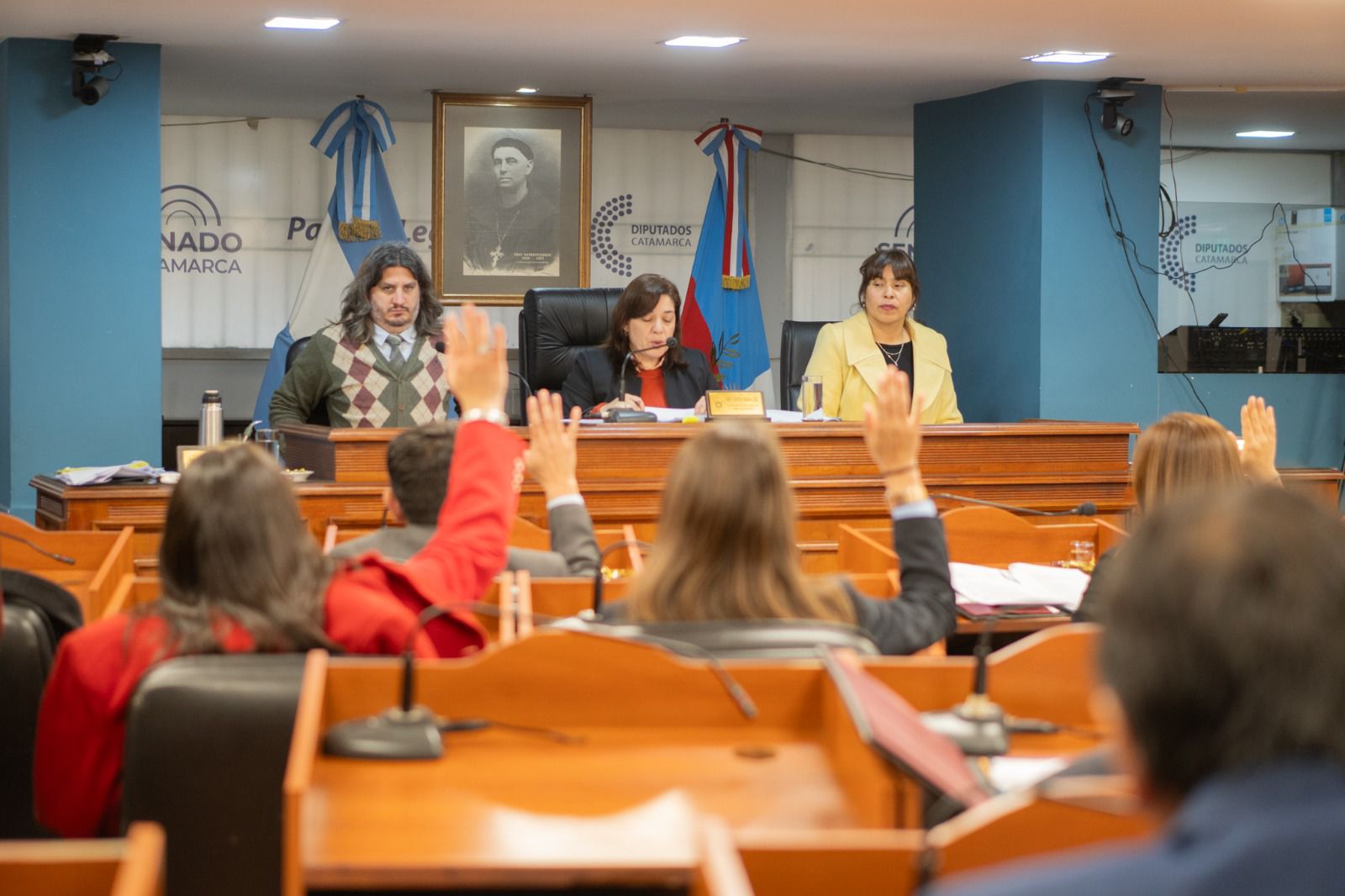 El Senado avanzó con la sanción de importantes leyes