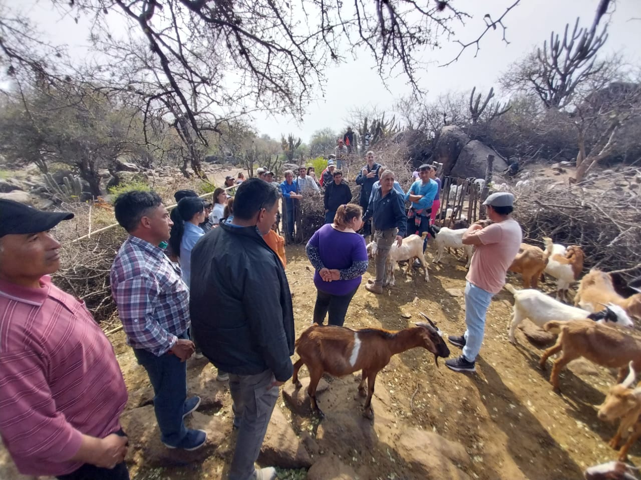 Jornadas Caprinas en Navaguín- Ancasti