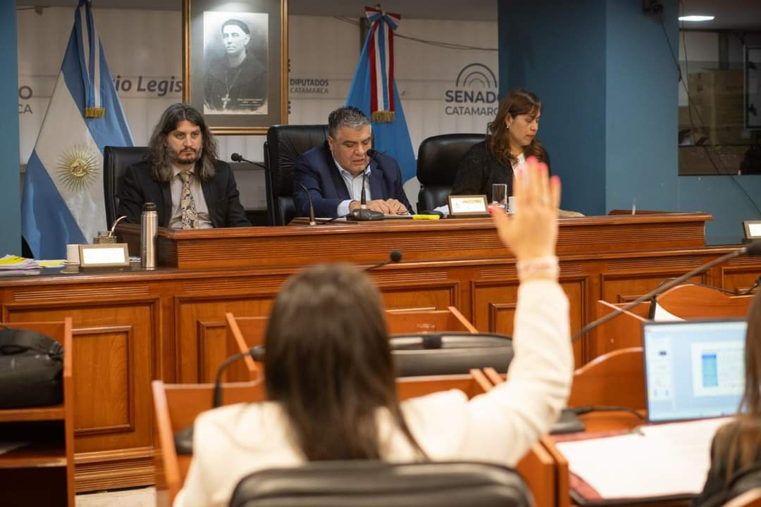 El Senado aprobó la adhesión al RIGI