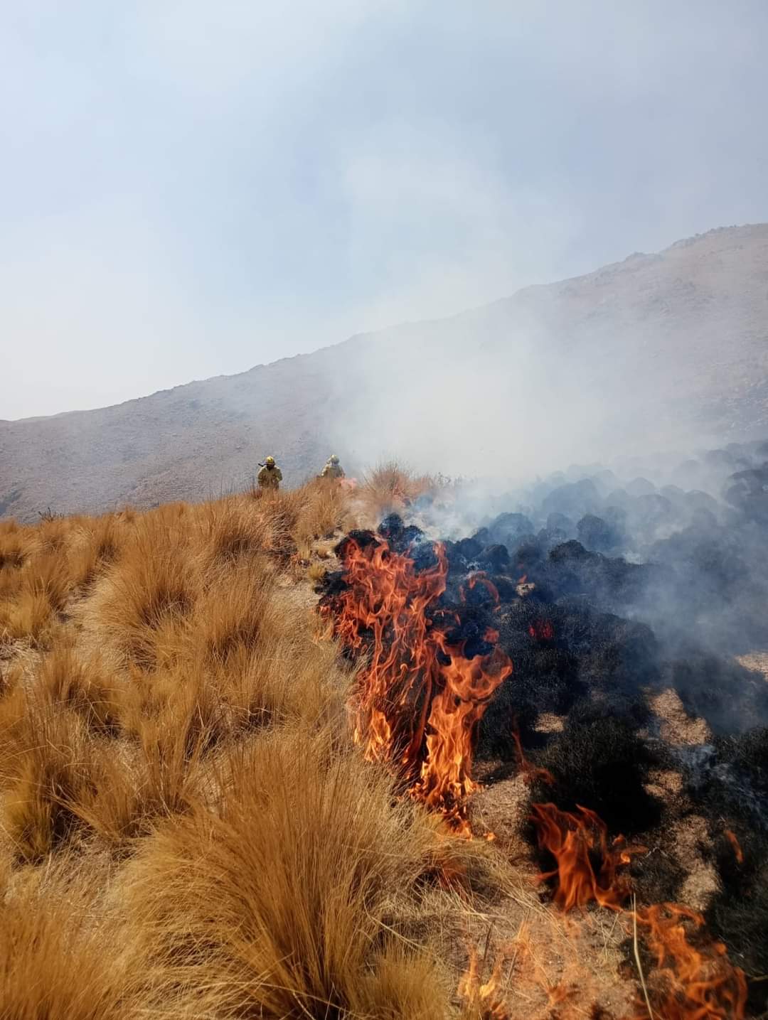 Incendio de gran magnitud en el Departamento Andalgalá