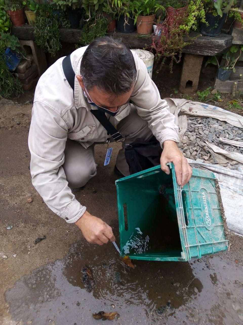 Prevención de dengue: la importancia de tomar acciones después de las lluvias