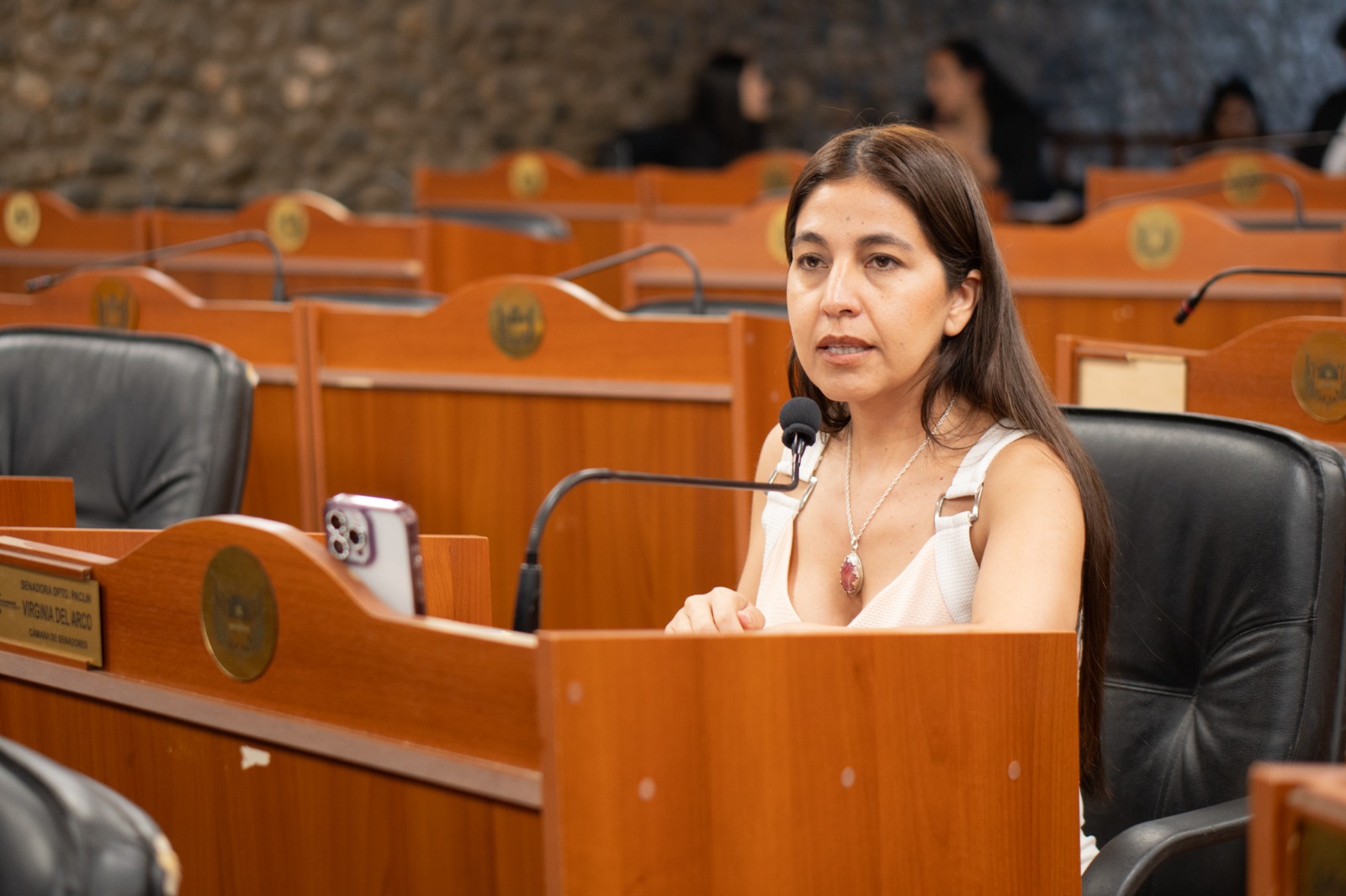 Del Arco: “Cada niño, niña y adolescente merece contar con un sistema de apoyo cercano que responda a sus necesidades”