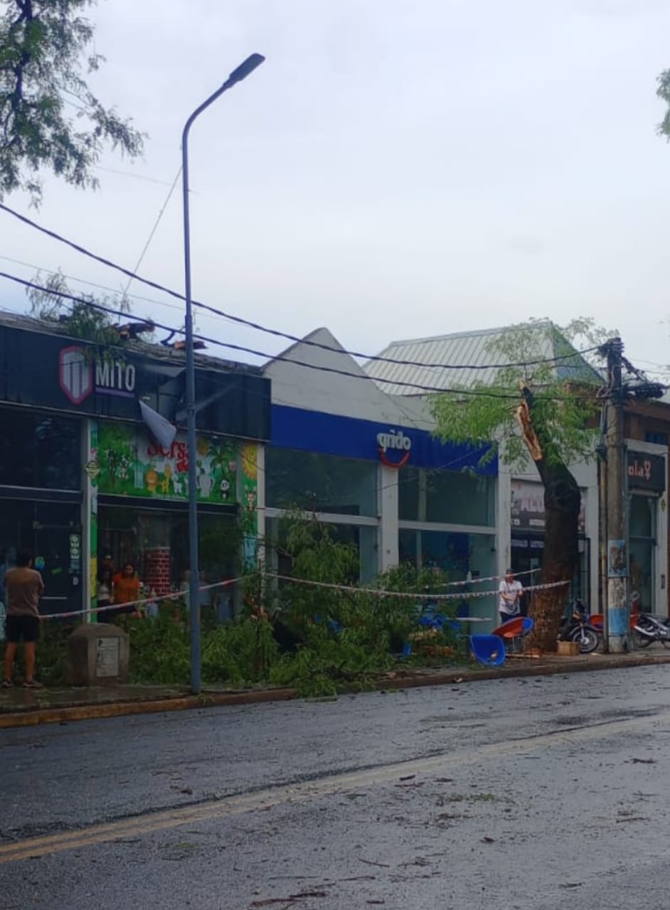 Intensa tormenta y fuertes vientos dejó calles anegadas y caídas de arboles